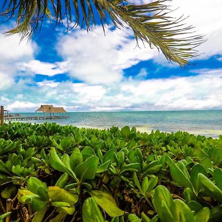 Punta Me Beach Suites Κανκούν Εξωτερικό φωτογραφία