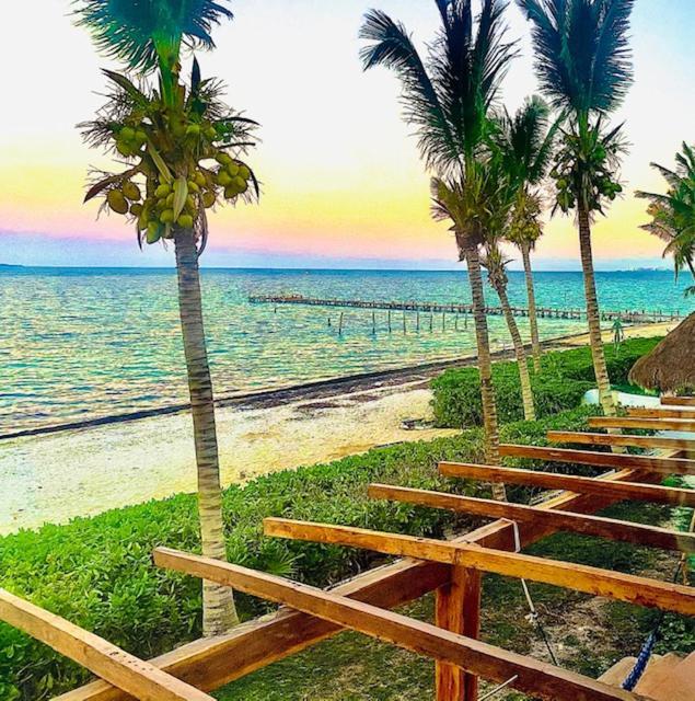 Punta Me Beach Suites Κανκούν Εξωτερικό φωτογραφία