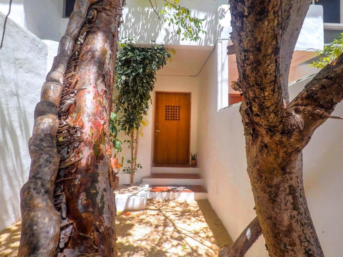 Punta Me Beach Suites Κανκούν Εξωτερικό φωτογραφία